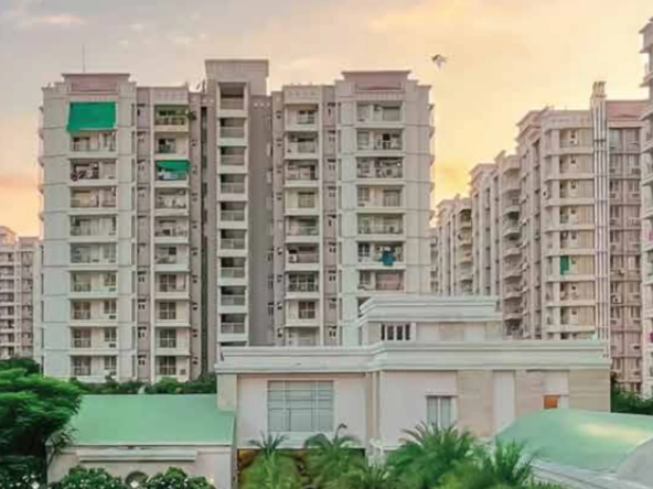 3 BHK flat for rent in Hinjewadi | 3BHK flat for rent in Ashiana Malhar