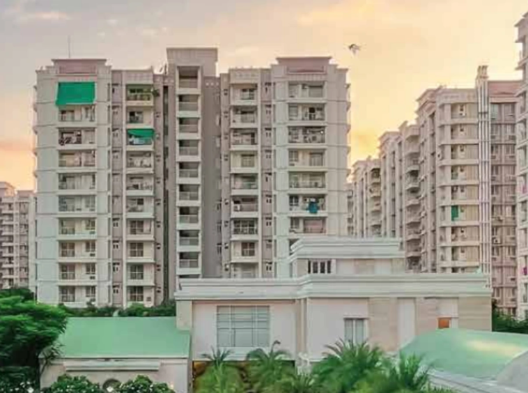 3 BHK flat for rent in Hinjewadi | 3BHK flat for rent in Ashiana Malhar