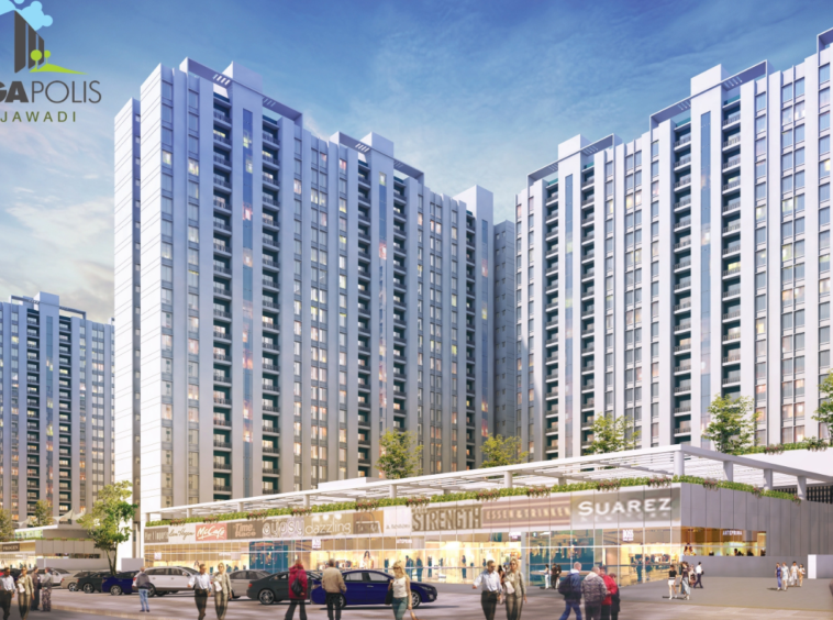 2 BHK flats for sale in Hinjewadi | 3 BHK flats for sale in Hinjewadi