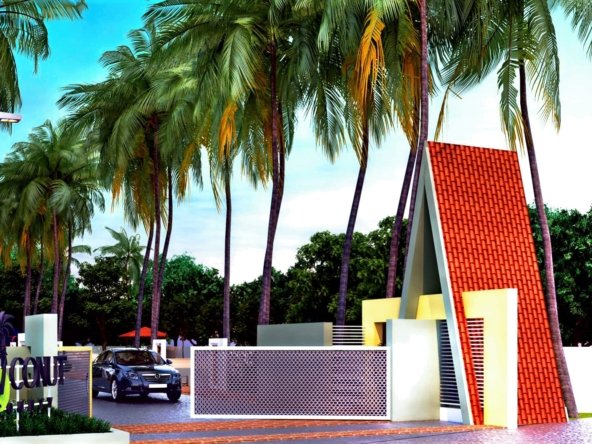 Coconut County