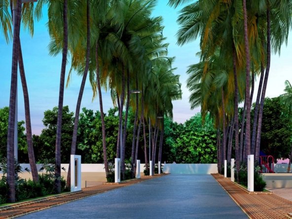Coconut County