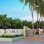 Coconut County